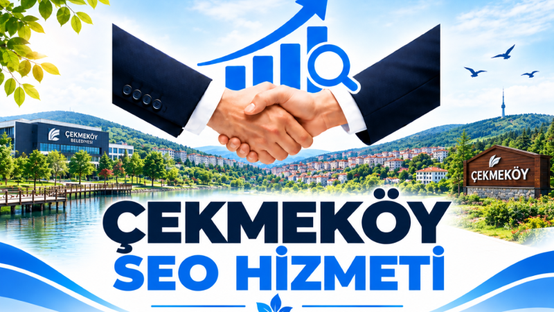 Çekmeköy Seo Hizmeti